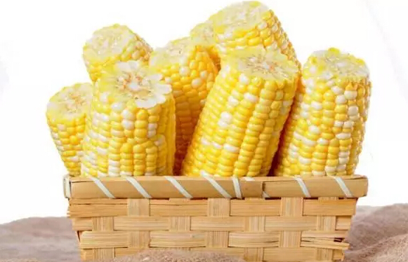 玉米
