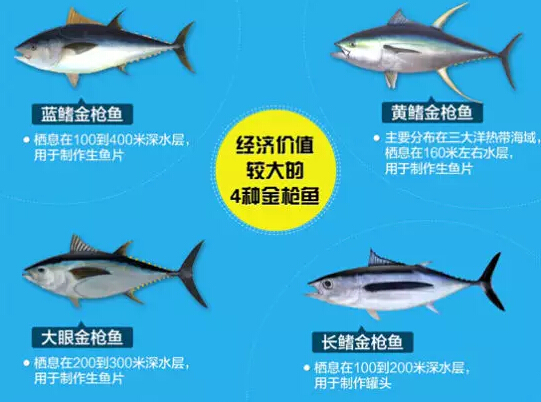 水產(chǎn)品出口