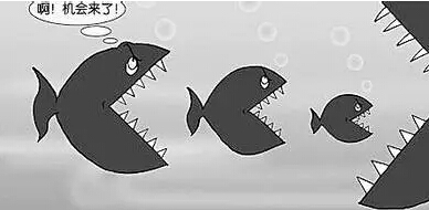 跟風(fēng)與機會